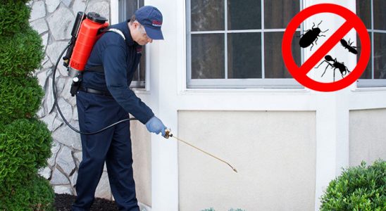Horasan Bit İlaçlama böcek ilaçlama ve haşere kontrolü — ilaclama-tr.com